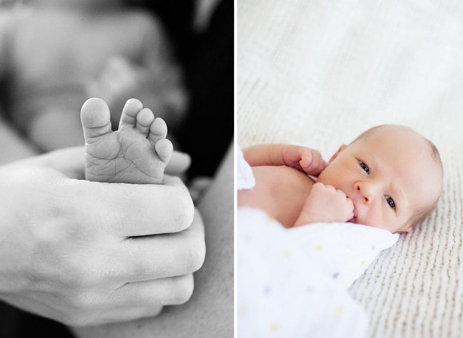 denver newborn photos, denver newborn photographer