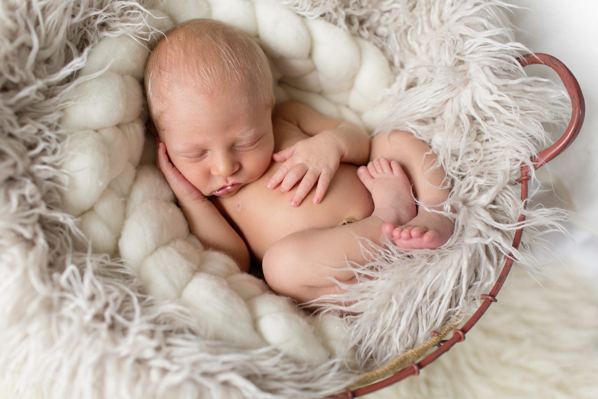 Denver-newborn-photographer011