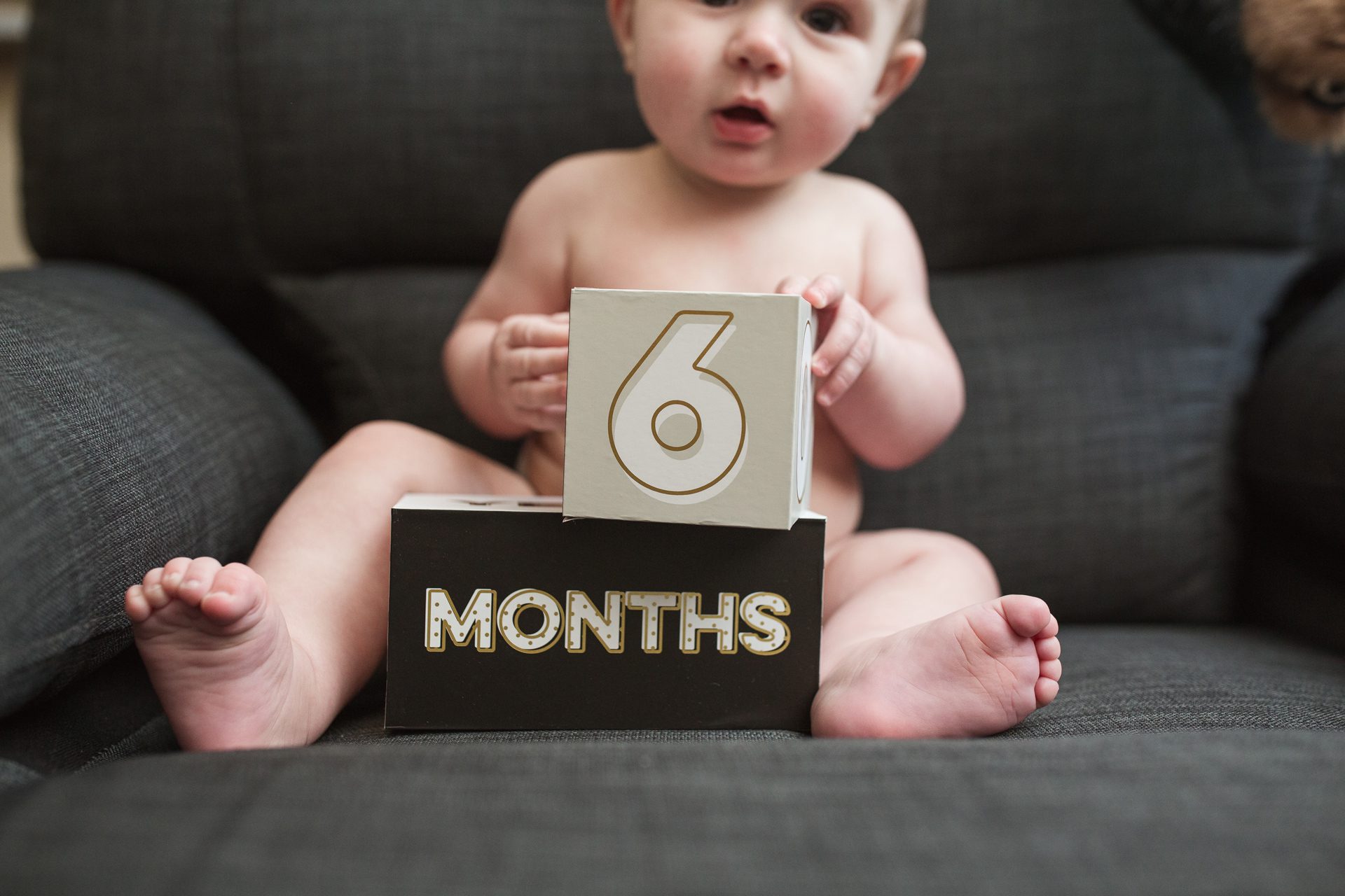 photoshoot 6 month baby